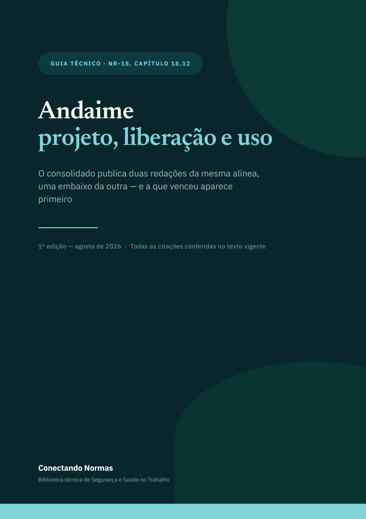 Capa do guia Andaime: projeto, liberação e uso