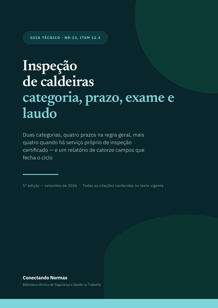 Capa do guia Inspeção de caldeiras