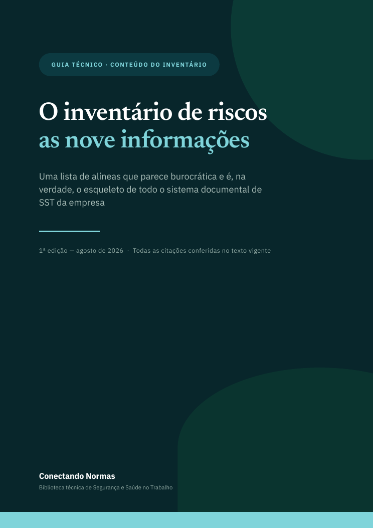 Capa do guia O inventário de riscos: as nove informações